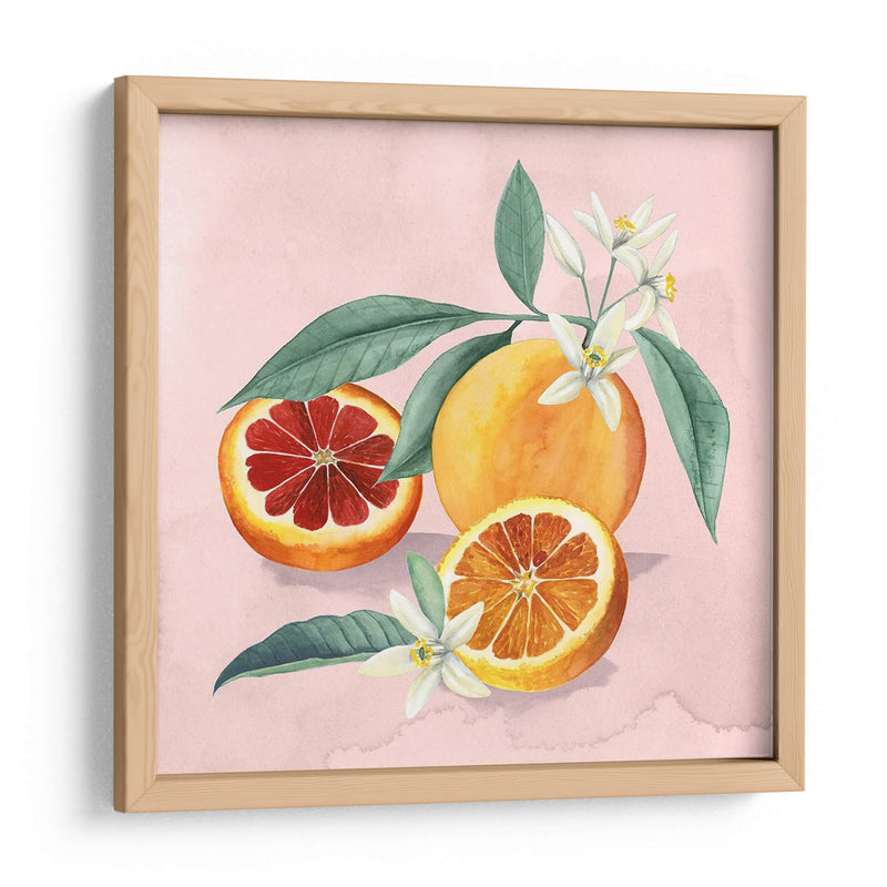 Flor De Naranja Ii - Grace Popp | Cuadro decorativo de Canvas Lab