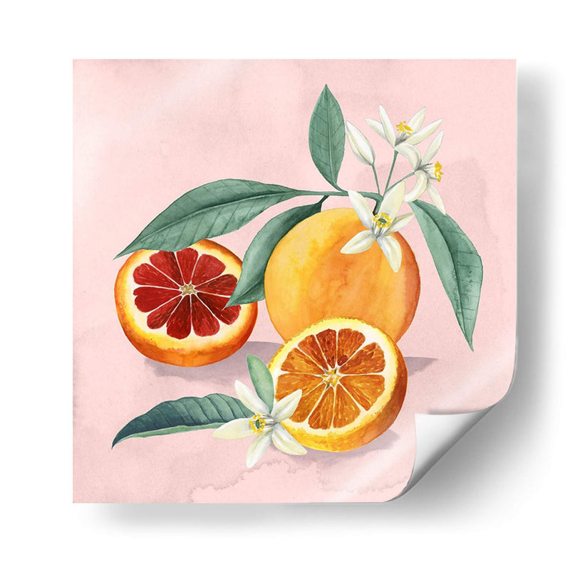 Flor De Naranja Ii - Grace Popp | Cuadro decorativo de Canvas Lab