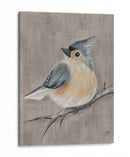 Pájaro De Invierno I - Jade Reynolds | Cuadro decorativo de Canvas Lab