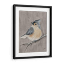 Pájaro De Invierno I - Jade Reynolds | Cuadro decorativo de Canvas Lab