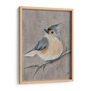 Pájaro De Invierno I - Jade Reynolds | Cuadro decorativo de Canvas Lab