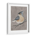 Pájaro De Invierno I - Jade Reynolds | Cuadro decorativo de Canvas Lab