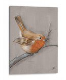 Invierno Pájaro Ii - Jade Reynolds | Cuadro decorativo de Canvas Lab