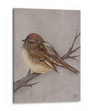 Aves De Invierno Iii - Jade Reynolds | Cuadro decorativo de Canvas Lab