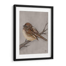 Aves De Invierno Iii - Jade Reynolds | Cuadro decorativo de Canvas Lab