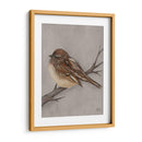 Aves De Invierno Iii - Jade Reynolds | Cuadro decorativo de Canvas Lab