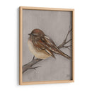 Aves De Invierno Iii - Jade Reynolds | Cuadro decorativo de Canvas Lab