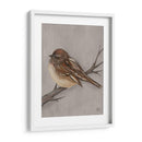 Aves De Invierno Iii - Jade Reynolds | Cuadro decorativo de Canvas Lab