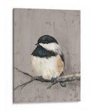 Invierno Pájaro Iv - Jade Reynolds | Cuadro decorativo de Canvas Lab