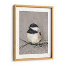 Invierno Pájaro Iv - Jade Reynolds | Cuadro decorativo de Canvas Lab