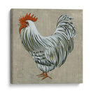 Roost Ii - Chariklia Zarris | Cuadro decorativo de Canvas Lab