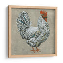 Roost Iii - Chariklia Zarris | Cuadro decorativo de Canvas Lab