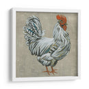 Roost Iii - Chariklia Zarris | Cuadro decorativo de Canvas Lab