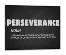Perseverance noun | Cuadro decorativo de Canvas Lab