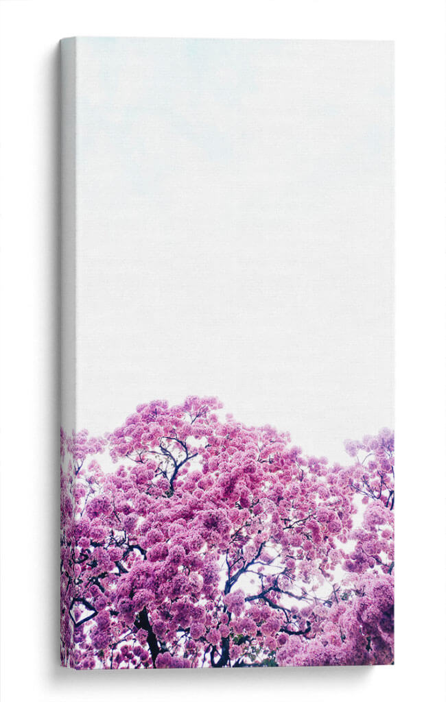 Muy rosa | Cuadro decorativo de Canvas Lab