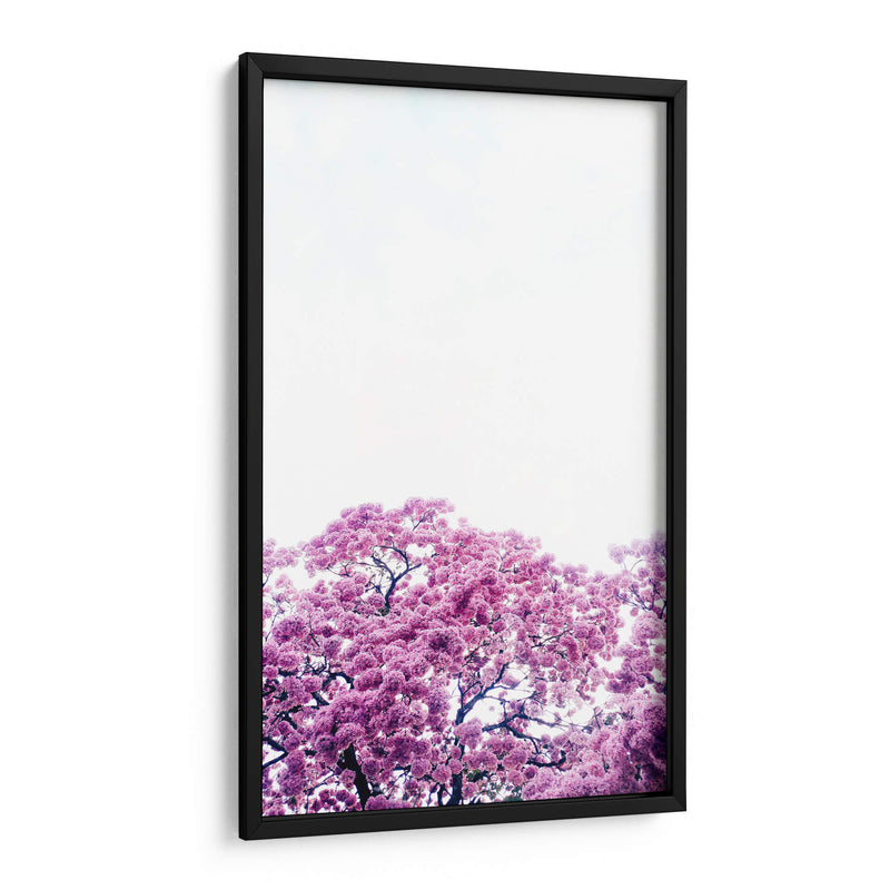 Muy rosa | Cuadro decorativo de Canvas Lab