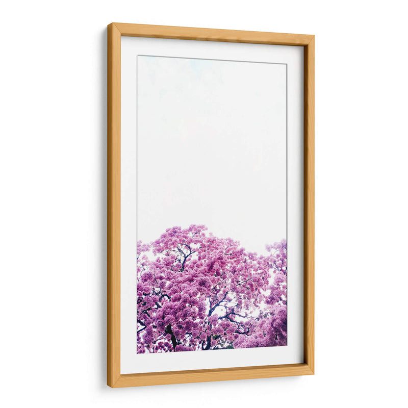 Muy rosa | Cuadro decorativo de Canvas Lab