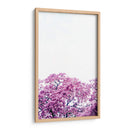 Muy rosa | Cuadro decorativo de Canvas Lab