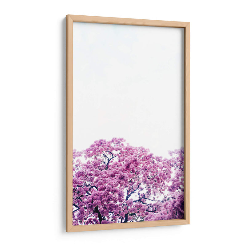 Muy rosa | Cuadro decorativo de Canvas Lab