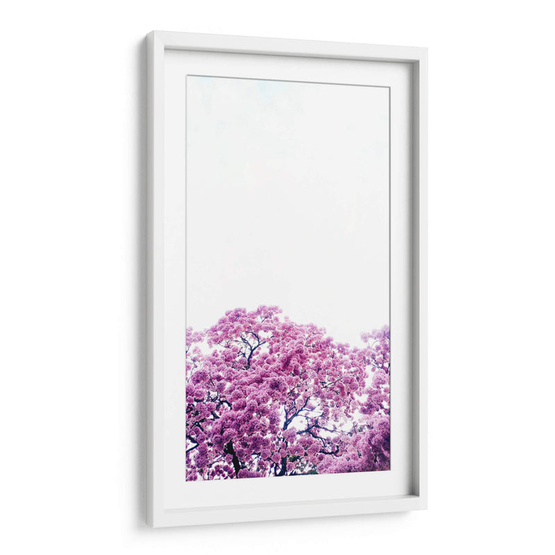 Muy rosa | Cuadro decorativo de Canvas Lab