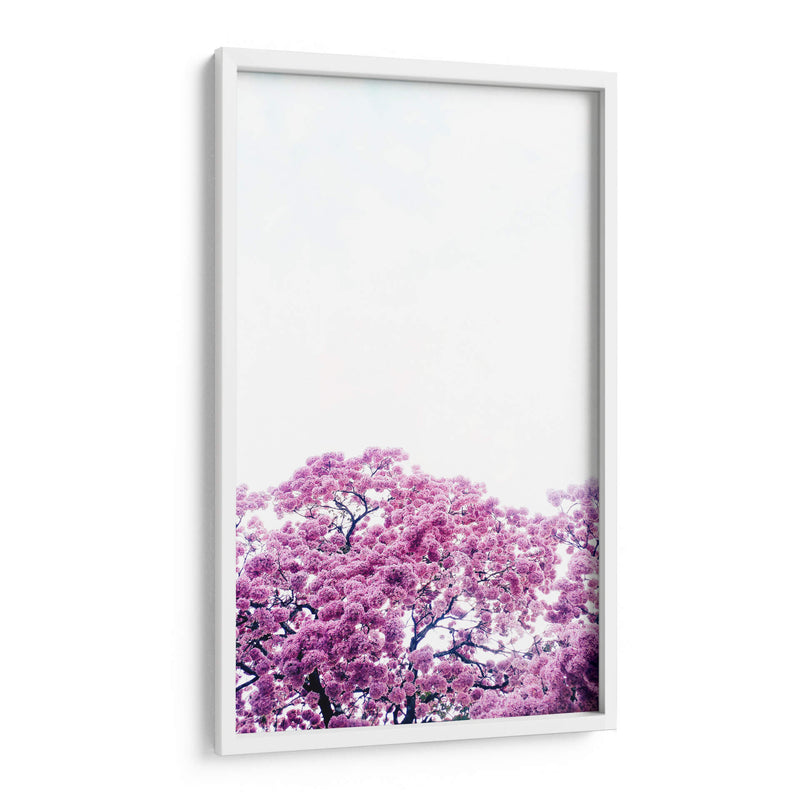 Muy rosa | Cuadro decorativo de Canvas Lab