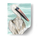 Turquesa Pelícano I - Jennifer Paxton Parker | Cuadro decorativo de Canvas Lab