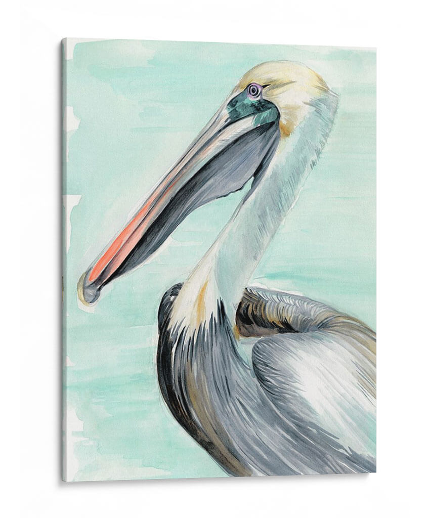 Turquesa Pelican Ii - Jennifer Paxton Parker | Cuadro decorativo de Canvas Lab