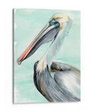 Turquesa Pelican Ii - Jennifer Paxton Parker | Cuadro decorativo de Canvas Lab