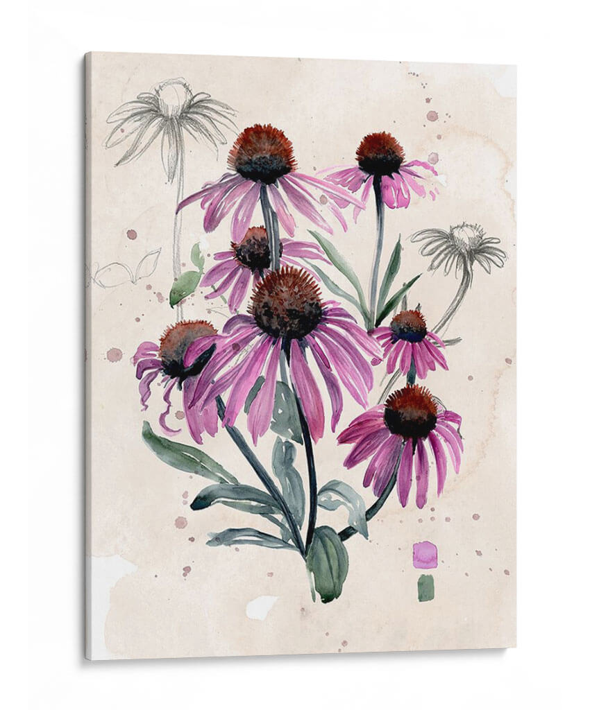 Flores Silvestres Púrpuras I - Jennifer Paxton Parker | Cuadro decorativo de Canvas Lab