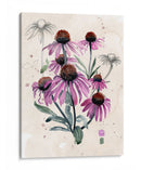 Flores Silvestres Púrpuras I - Jennifer Paxton Parker | Cuadro decorativo de Canvas Lab