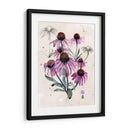 Flores Silvestres Púrpuras I - Jennifer Paxton Parker | Cuadro decorativo de Canvas Lab