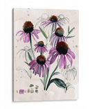 Flores Silvestres Púrpuras Ii - Jennifer Paxton Parker | Cuadro decorativo de Canvas Lab