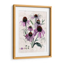 Flores Silvestres Púrpuras Ii - Jennifer Paxton Parker | Cuadro decorativo de Canvas Lab