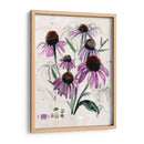 Flores Silvestres Púrpuras Ii - Jennifer Paxton Parker | Cuadro decorativo de Canvas Lab