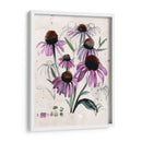 Flores Silvestres Púrpuras Ii - Jennifer Paxton Parker | Cuadro decorativo de Canvas Lab