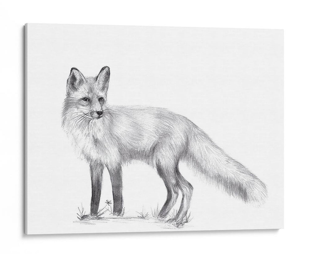 Sendero De Vida Silvestre I - Melissa Wang | Cuadro decorativo de Canvas Lab