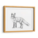 Sendero De Vida Silvestre I - Melissa Wang | Cuadro decorativo de Canvas Lab