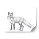 Sendero De Vida Silvestre I - Melissa Wang | Cuadro decorativo de Canvas Lab