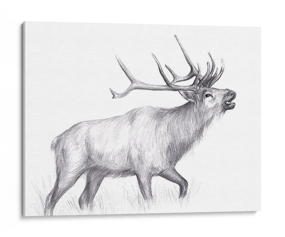 Sendero De Vida Silvestre Ii - Melissa Wang | Cuadro decorativo de Canvas Lab