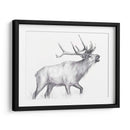 Sendero De Vida Silvestre Ii - Melissa Wang | Cuadro decorativo de Canvas Lab