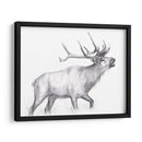 Sendero De Vida Silvestre Ii - Melissa Wang | Cuadro decorativo de Canvas Lab