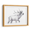 Sendero De Vida Silvestre Ii - Melissa Wang | Cuadro decorativo de Canvas Lab