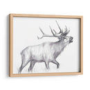 Sendero De Vida Silvestre Ii - Melissa Wang | Cuadro decorativo de Canvas Lab