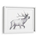 Sendero De Vida Silvestre Ii - Melissa Wang | Cuadro decorativo de Canvas Lab