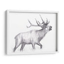 Sendero De Vida Silvestre Ii - Melissa Wang | Cuadro decorativo de Canvas Lab