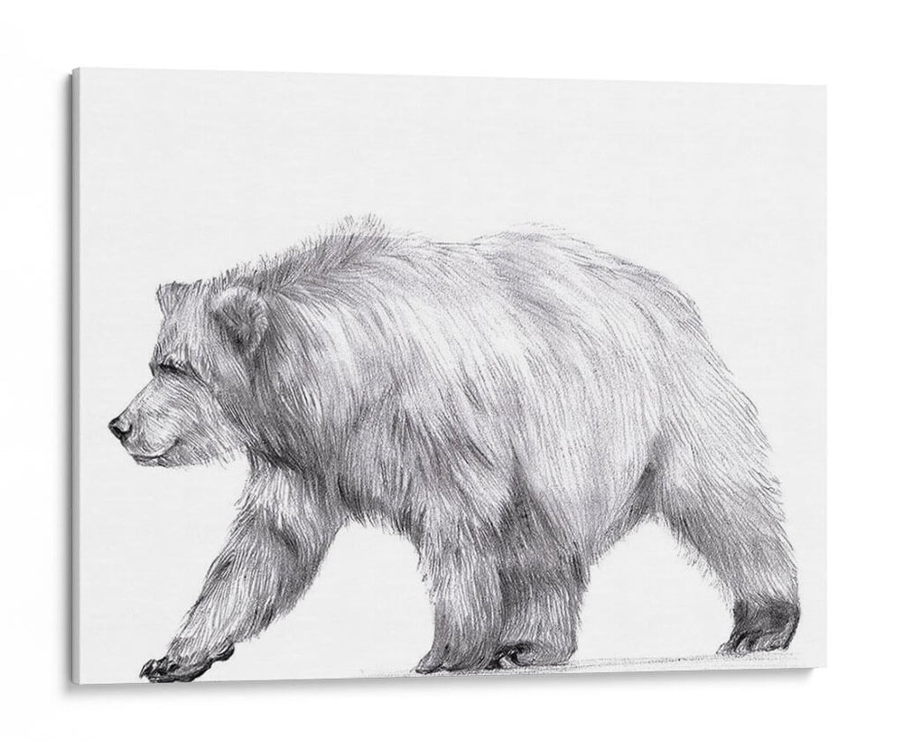 Camino De Vida Silvestre Iii - Melissa Wang | Cuadro decorativo de Canvas Lab