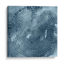 Índigo Rueda Ii - Chariklia Zarris | Cuadro decorativo de Canvas Lab