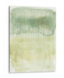 Verdant Falls Ii - Jennifer Goldberger | Cuadro decorativo de Canvas Lab