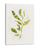 Sapling I - Victoria Borges | Cuadro decorativo de Canvas Lab