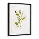 Sapling I - Victoria Borges | Cuadro decorativo de Canvas Lab